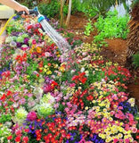 Mixed Flower Seeds Pack of 100 + Free Plant Growth Supplement - Garden Starter Kit