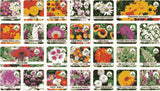 Mixed Flower Seeds Pack of 100 + Free Plant Growth Supplement - Garden Starter Kit