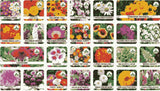 Mixed Flower Seeds Pack of 100 + Free Plant Growth Supplement - Garden Starter Kit